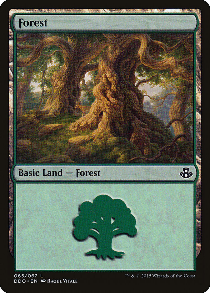 Forest (65) [Duel Decks: Elspeth vs. Kiora] | North of Exile Games