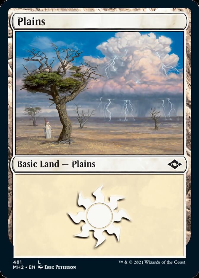 Plains (481) (Foil Etched) [Modern Horizons 2] | North of Exile Games