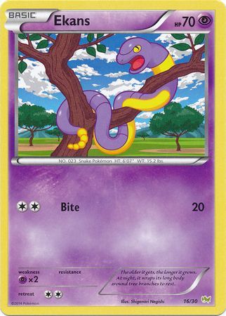 Ekans (16/30) [XY: Trainer Kit - Noivern] | North of Exile Games